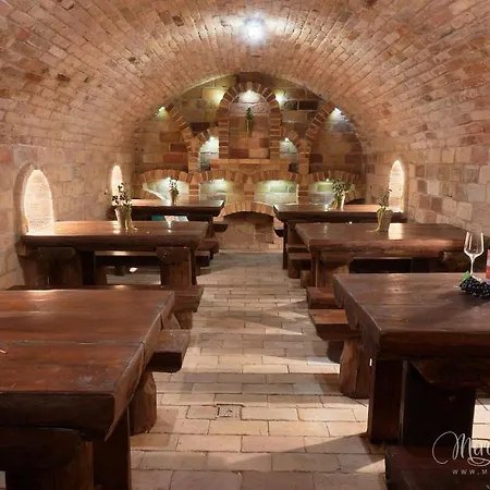 Kamaras Ring House Mogyoród