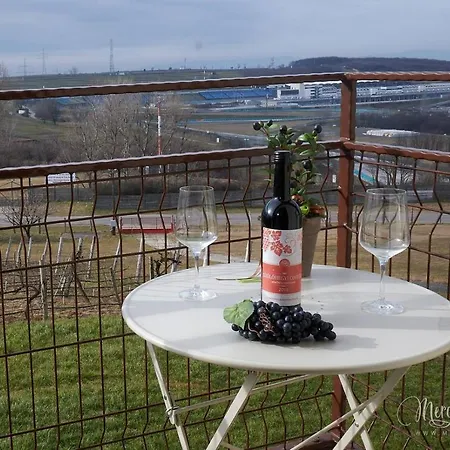 Panzió Kamarás Ring House Mogyoród